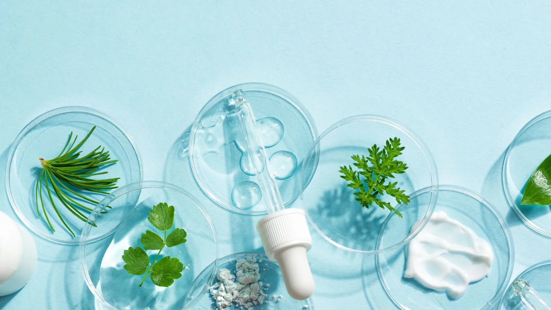 Effective Skincare for Oily Skin: Understanding Serums vs. Essences