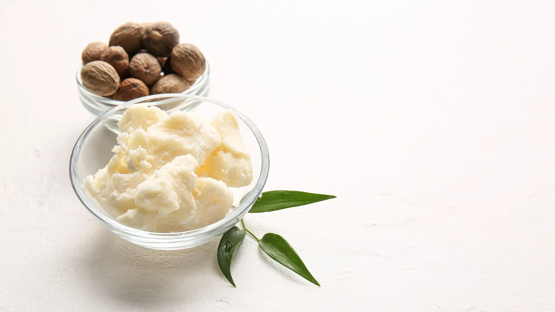 Skin Benefits: Comparing Shea Butter and Coconut Oil for Optimal Skin Health