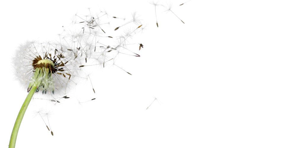 Spring Allergies and Your Skin: How to Calm Irritation, Redness, and Dryness