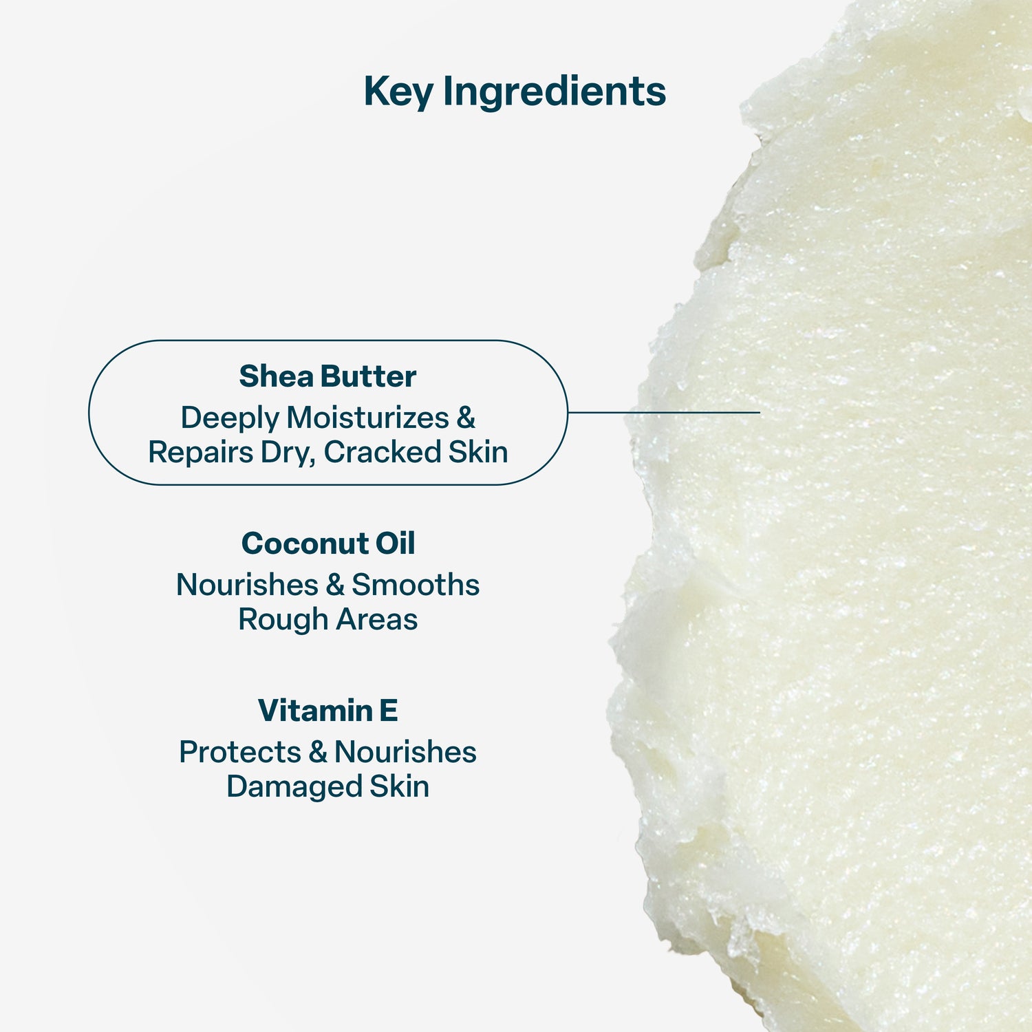Shea Coconut Hand Cream